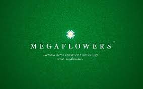 *Megaflowers